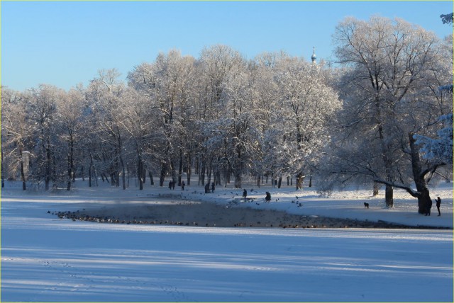 Немного моих фото, авторское