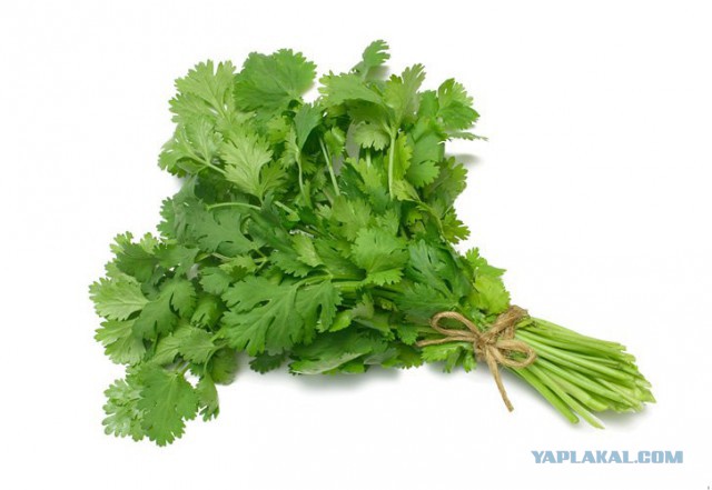 Кровать для дочки или чем заняться в выходные