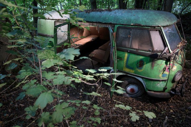 Неандерталь автомобильный