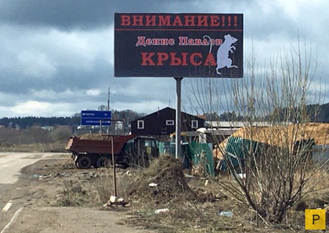 Прикольные картинки, интересные цитаты и мысли