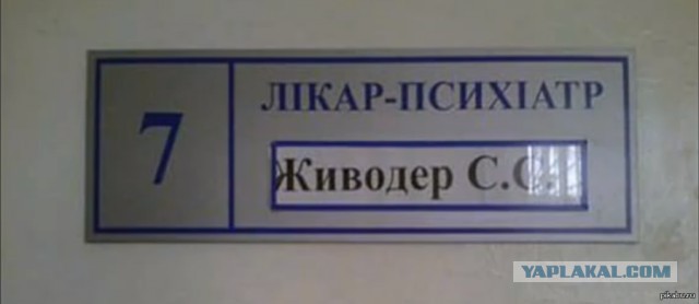 Бездомная собака покусала ребёнка