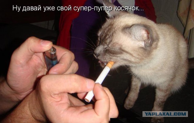 Как продают марихуану в Канаде