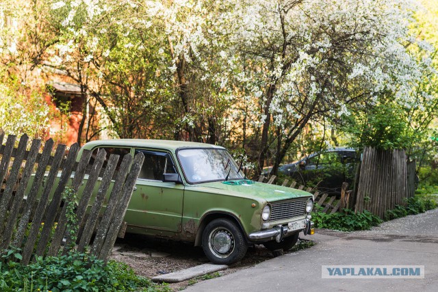 Долгопрудный (фото)