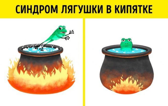 10 психологических эффектов, которые управляют нашей жизнью