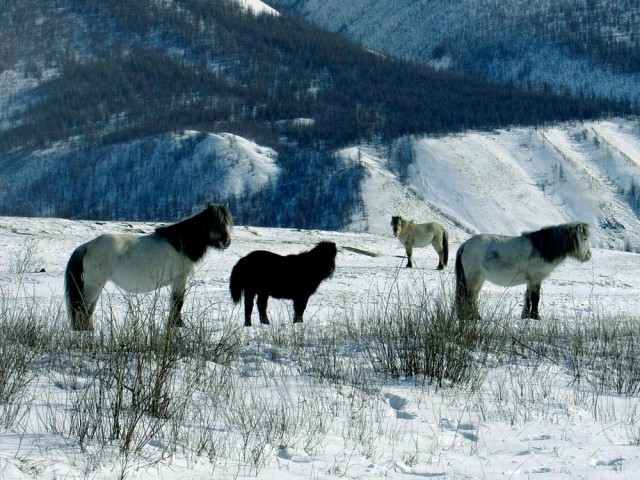 Природа Якутии глазами Михаила Черемкина