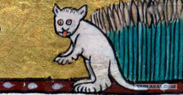 Средневековые коты, которым тоже сложно