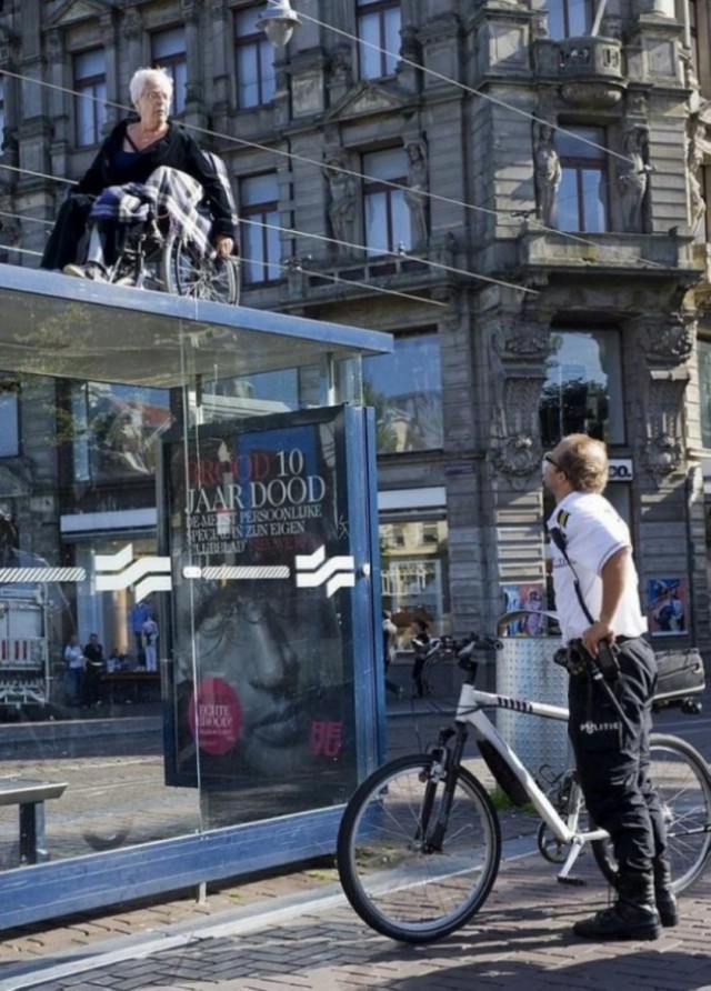 Фото, на которых все могло бы быть нормально, если бы не одно но...