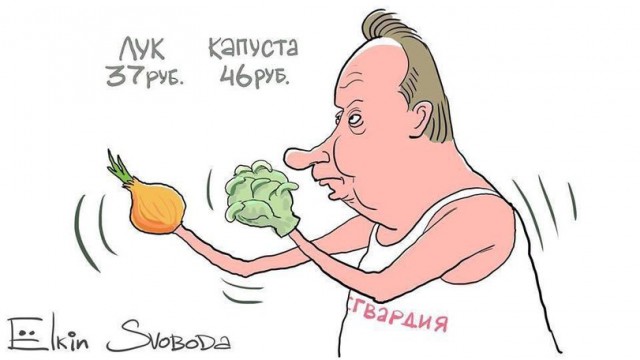 Федерация бокса России готова предоставить ринг для боя Навальный – Золотов