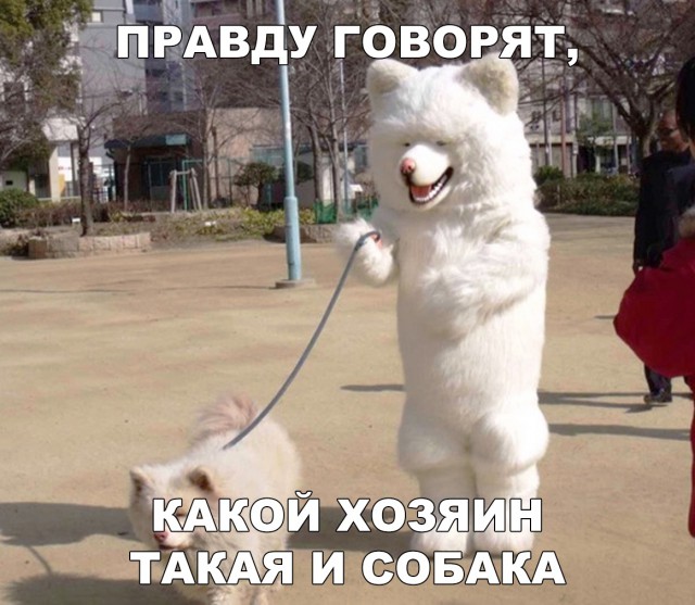 Нестандартный юмор