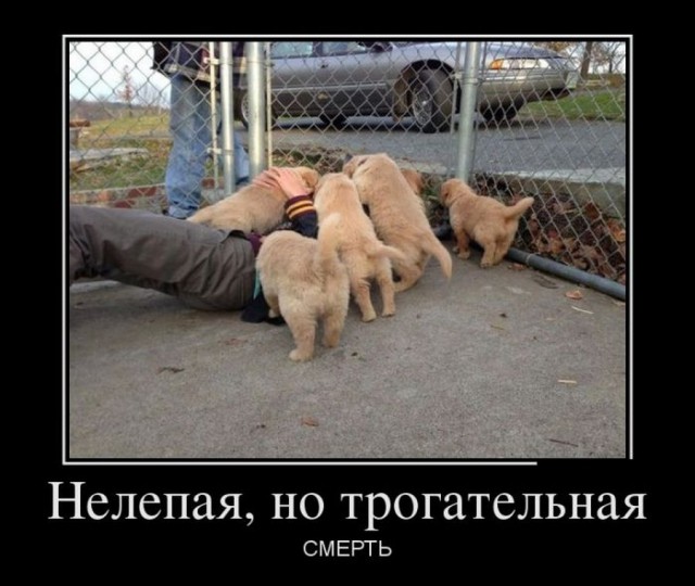 Чернушки вот вам принёс
