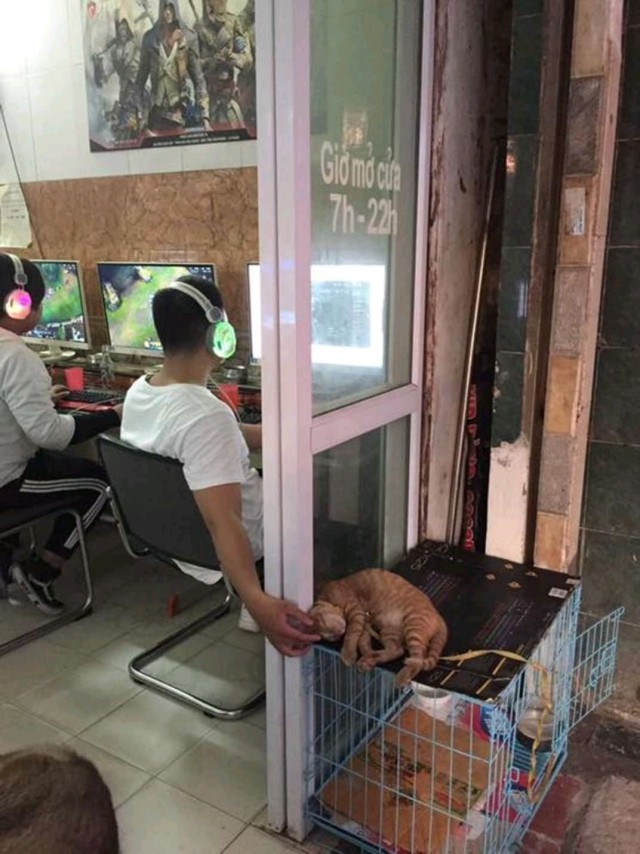 Прикольные картинки абавсём
