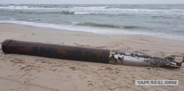 На побережье Балтийской косы вынесло торпеду времён ВОВ