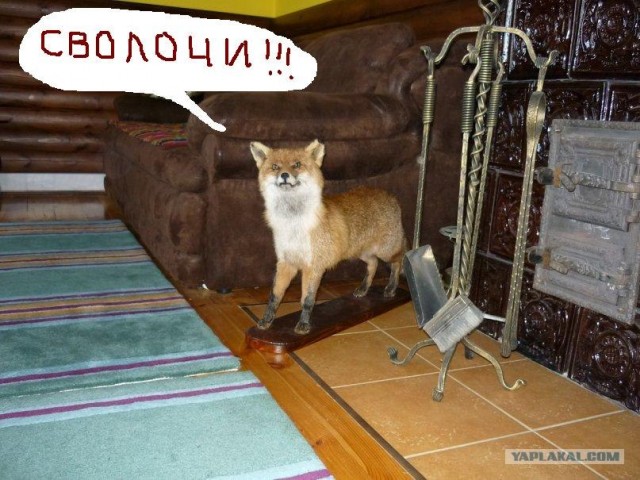 Бизнес по-русски