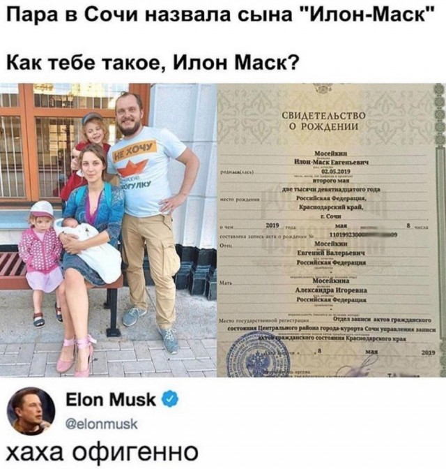 Дурацкие картинки