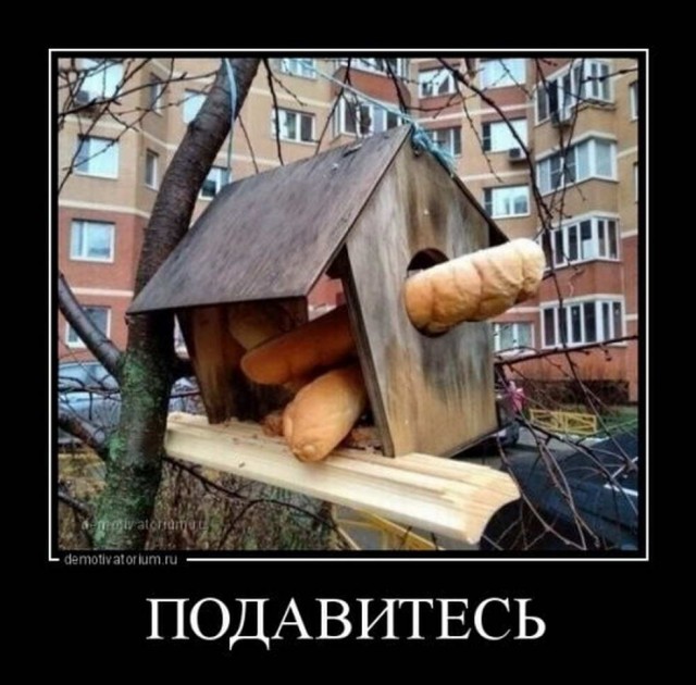 Похотливая шмонька и Том Груз из Томска
