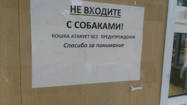 Немного картинок для настроения 30.08.20