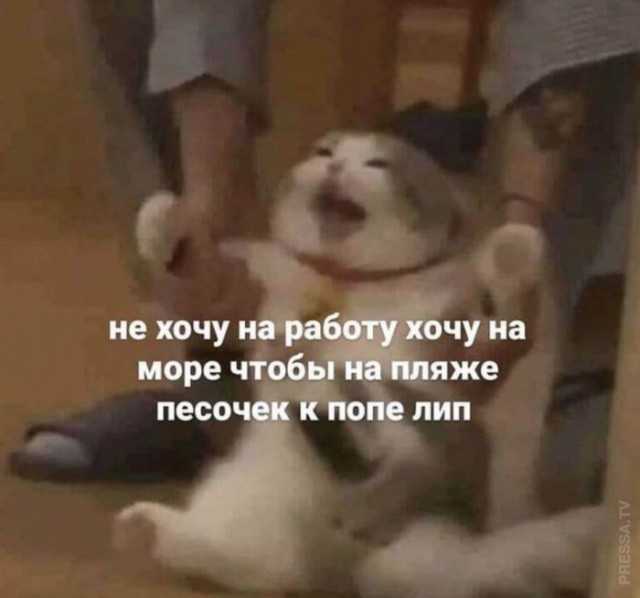 Картинки и мемы для настроения 024