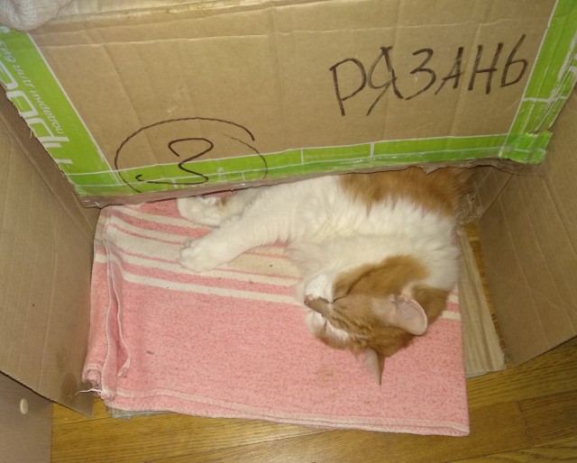 Срочно в номер