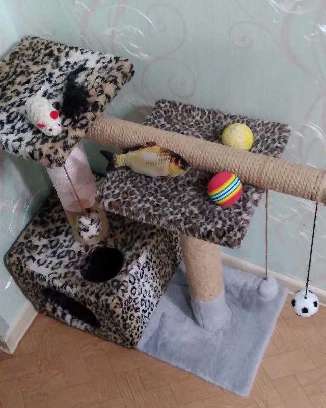 Домик для котейки