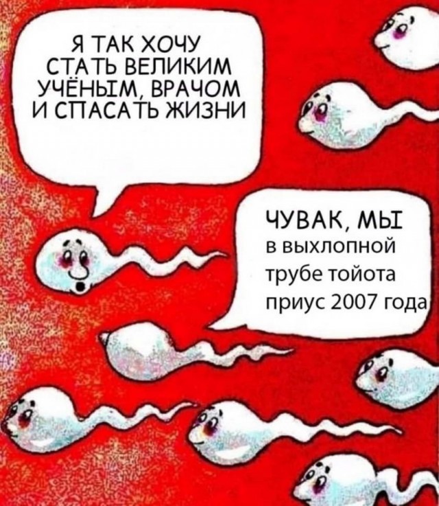 Картинки и мемы для настроения