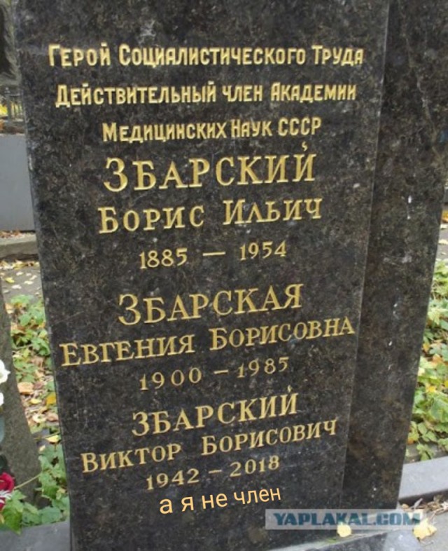 Где похоронен збарская. Збарский Лев Борисович могила. Могила Регины Збарской. Могила Збарского Льва