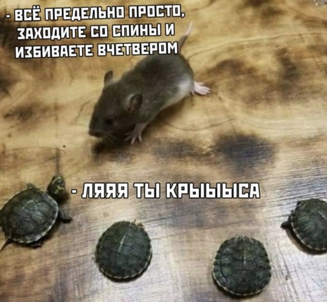 Весёлый полтишок 13.03