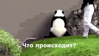 "Ложечка за маму, ложечка за папу"