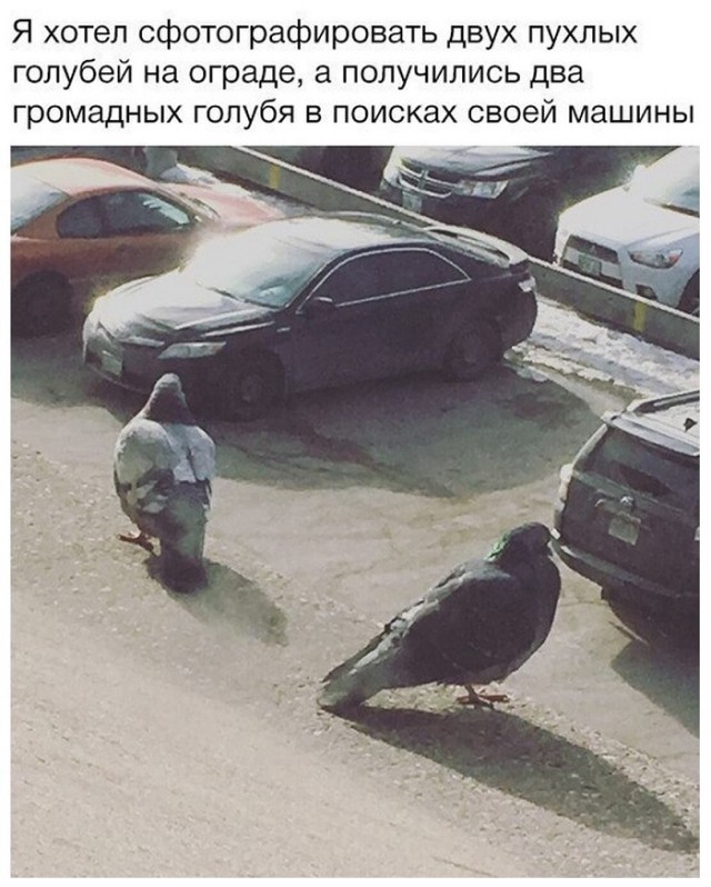 Картинки с надписями и всякие жизненные фразы 25.04.21
