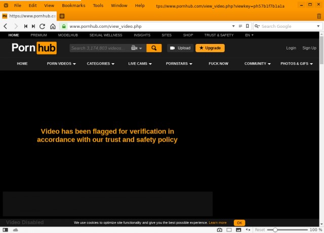 Роскомнадзор угрожает блокировкой Pornhub в России