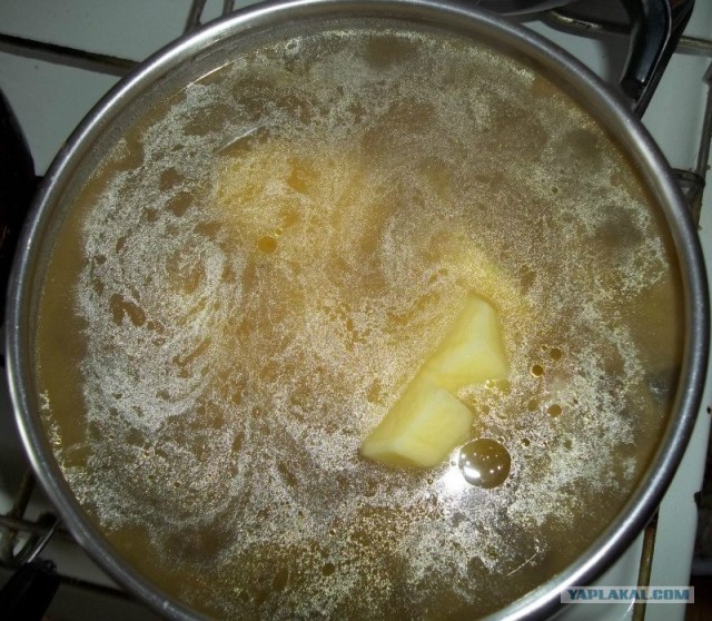 Серые щи