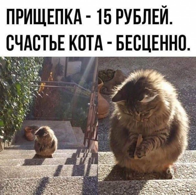 Картинки и мемы для настроения 16.08.2021