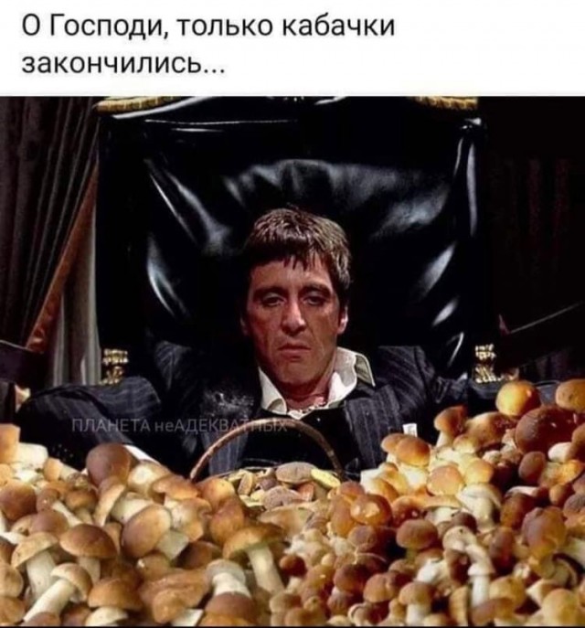 Так себе картинки 01.10.21