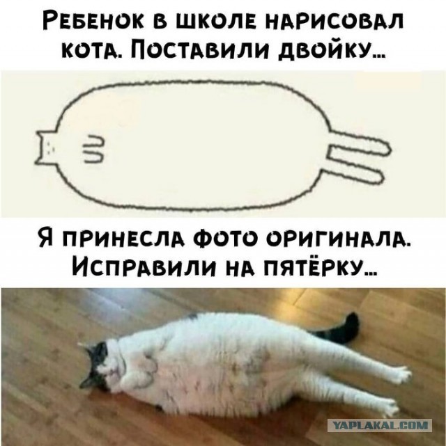 Весёлый полтишок 26.11