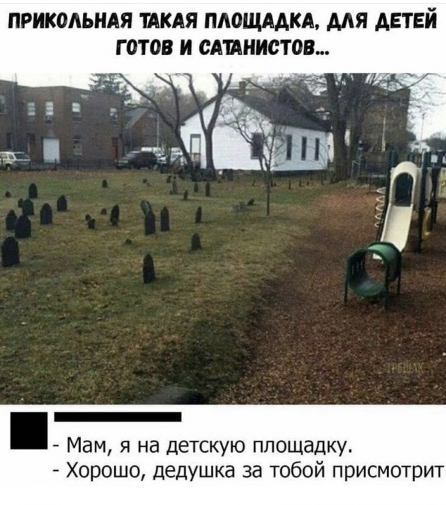 Всяческие картинки 22.12.2021