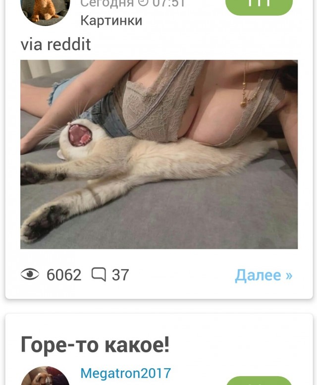 Придавила