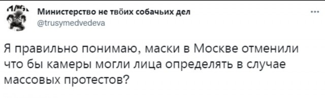Пандемия. Коронавирус и съехавшие крыши. Россия и мир. Часть 31.