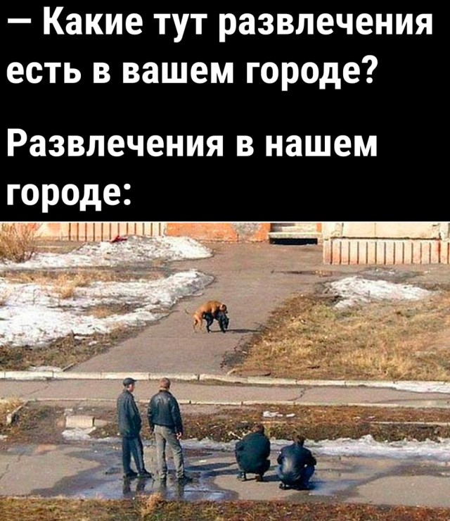 Так себе картинки 10.04.22