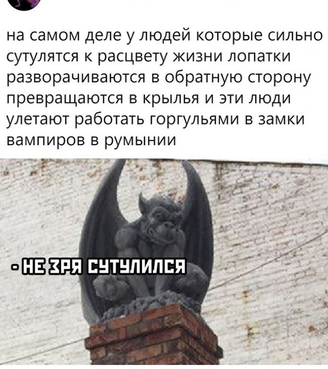 Картинки с надписями и всякие жизненные фразы