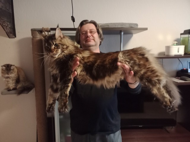 А вот и котовторник 24.05.2022
