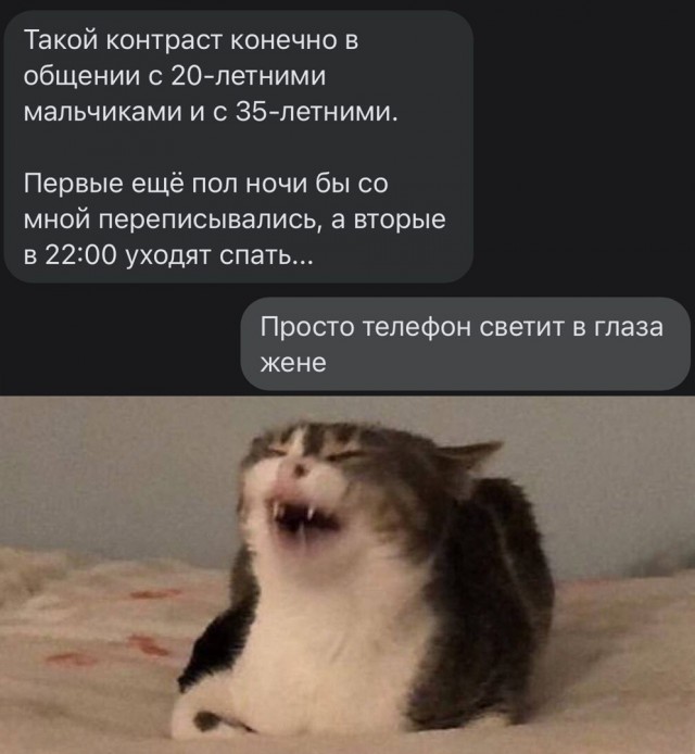 Так себе картинки 27.06.22