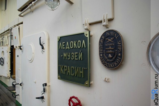 СПб глазами уставшего туриста...