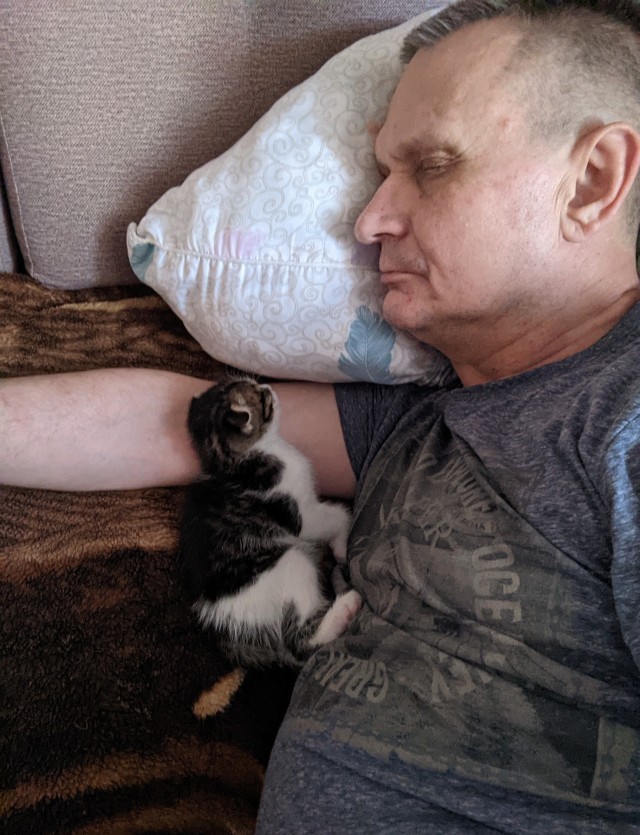 А как вы спите с котиком?