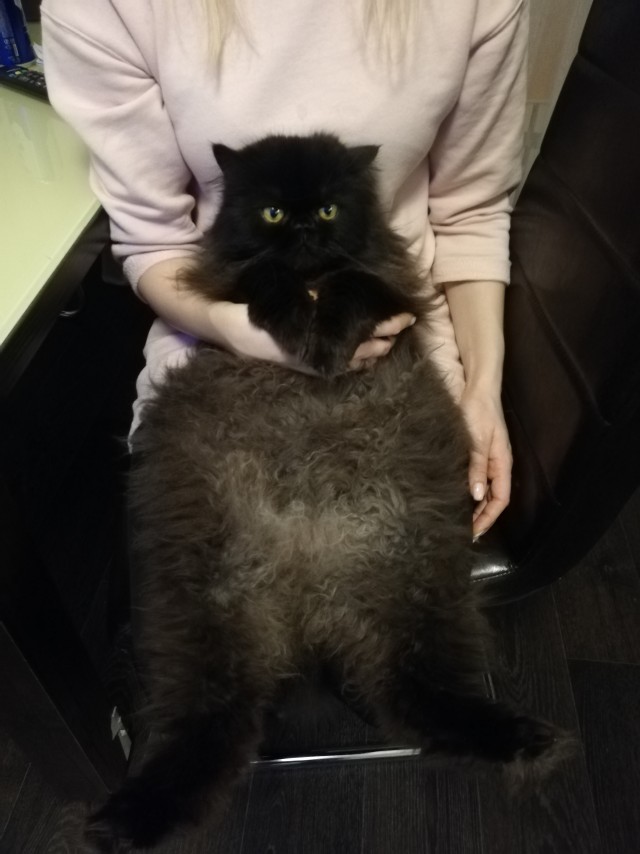 Чёртик