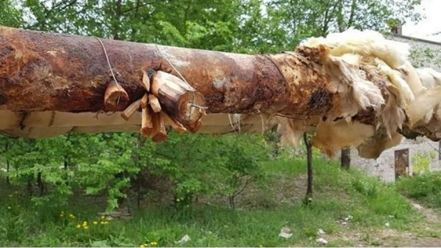 Долго такое прослужит?