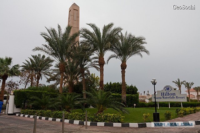 Синайские приключения. Шарм-эш-Шейх и окресности