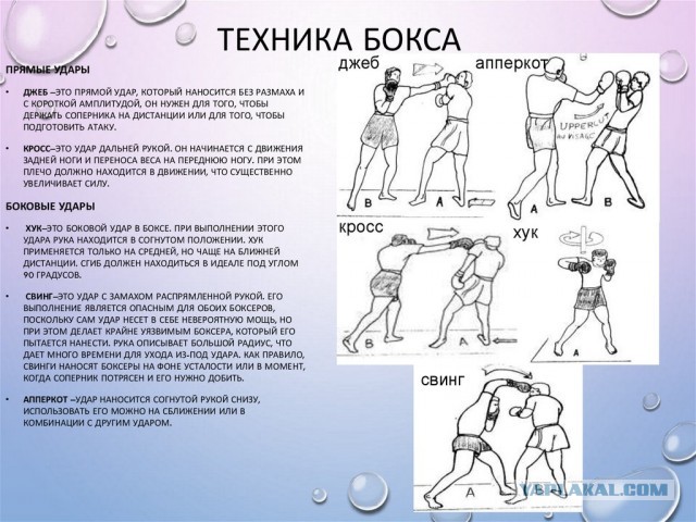 Удар журавля