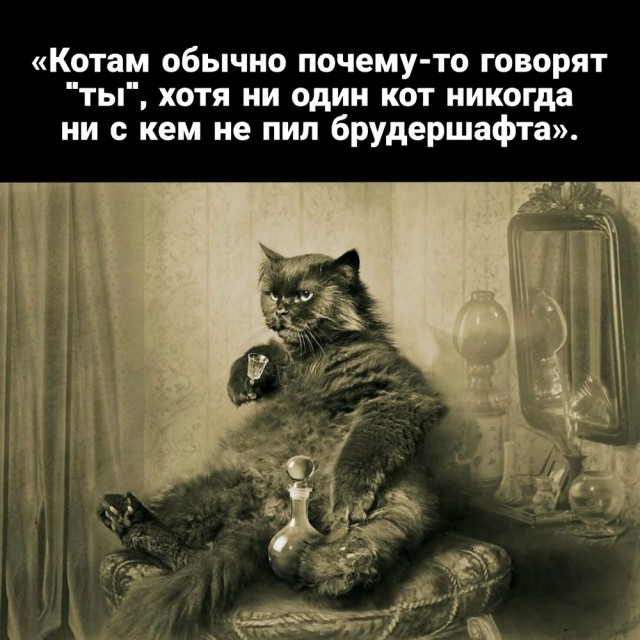 Так себе картинки 06.12.23