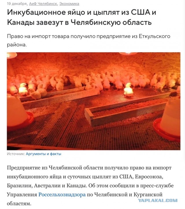 Правительство РФ обнулило на 2024 год пошлины на ввоз замороженного мяса кур