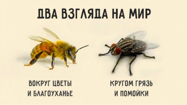 Мощный наезд на городских женщин от женщины из деревни