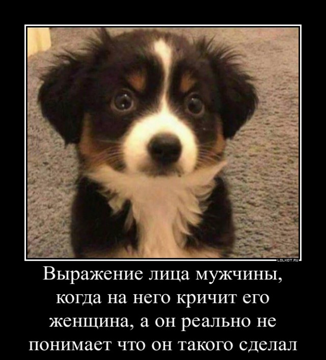 55 демотиваторов опять